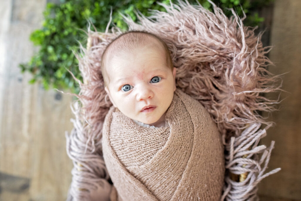 newborn looking into the camera