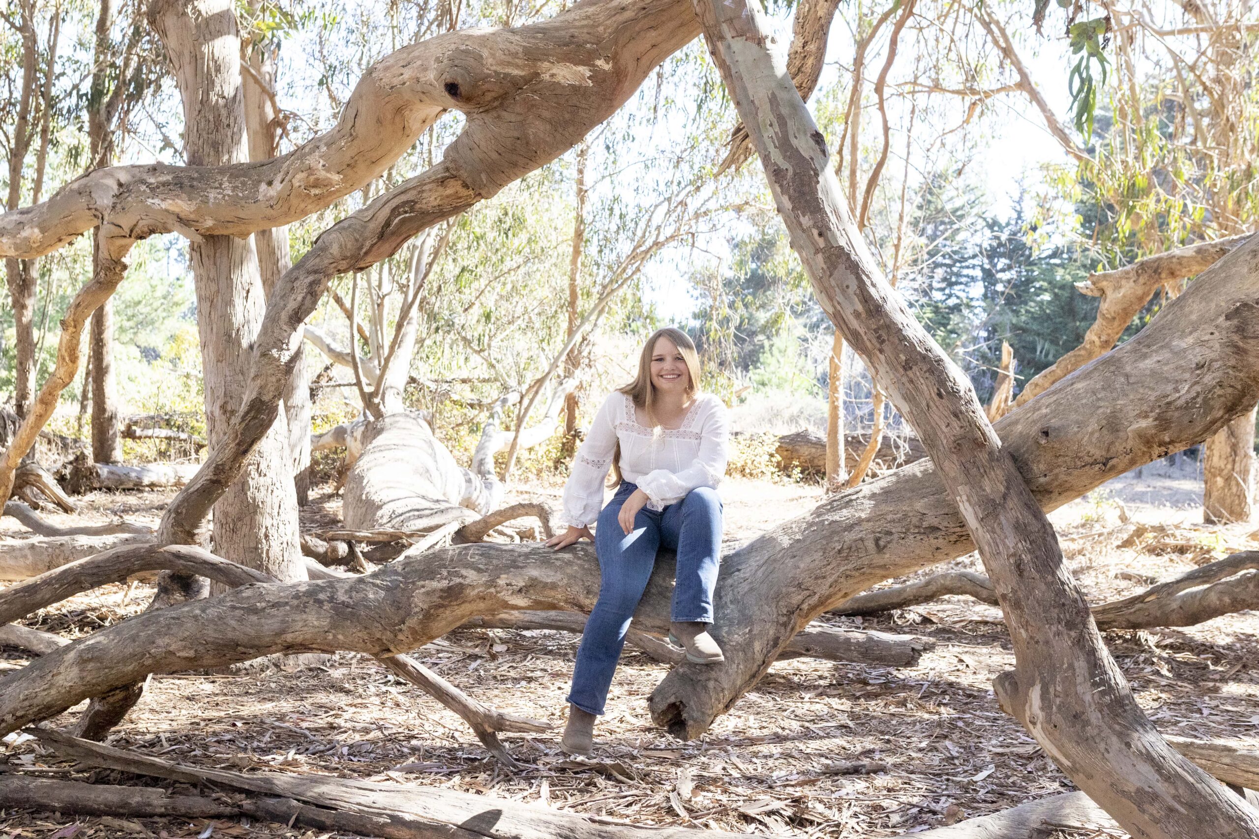 senior girl sitting on a tree in San Simeon