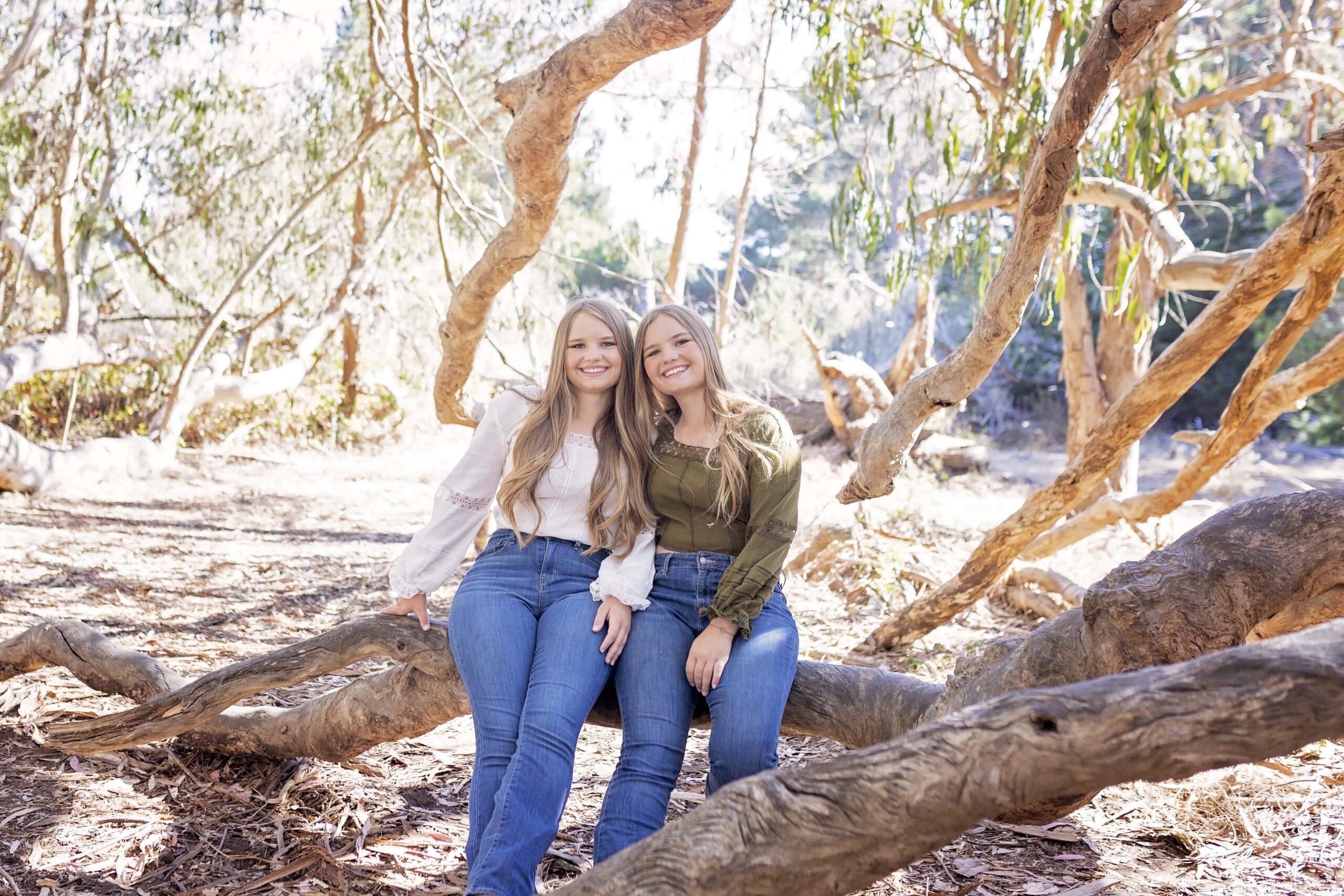 twin senior girls sitting on a tree