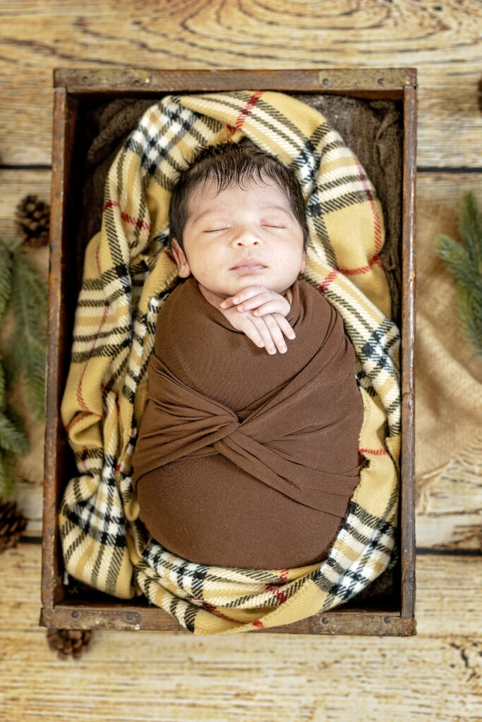 Portrait of a newborn wrapped in deep brown blanket, posed vertically in studio lighting.
