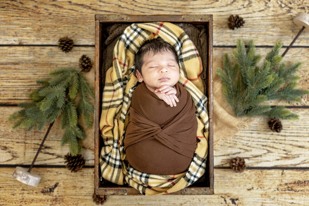Newborn boy wrapped snugly in brown tones with greenery accents in the background.
