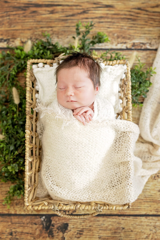Newborn girl surrounded by soft textures and foliage, neutral tones and natural light.